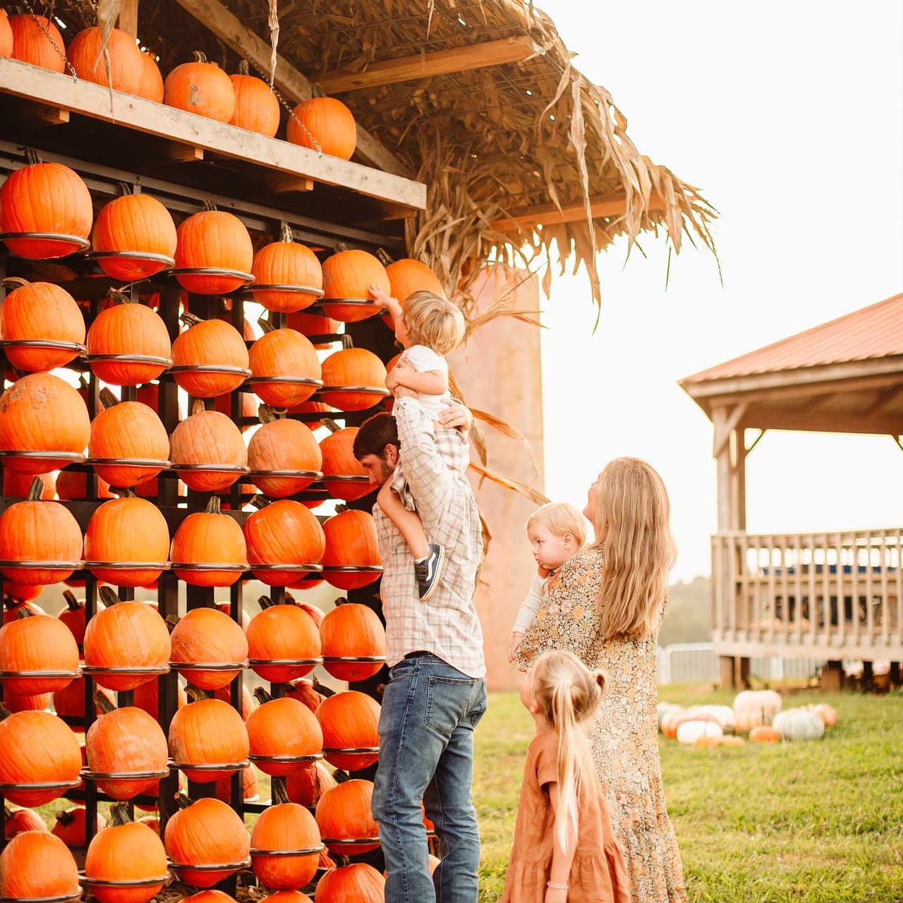 La diversión familiar de otoño incluye paseos en heno, toboganes de granja, un zoológico de mascotas, un tren de calabazas, así como un mini-laberinto para aquellos que desean una visita más rápida. Y han plantado más de 80 acres de calabazas, por lo que puedes ir por las tuyas.