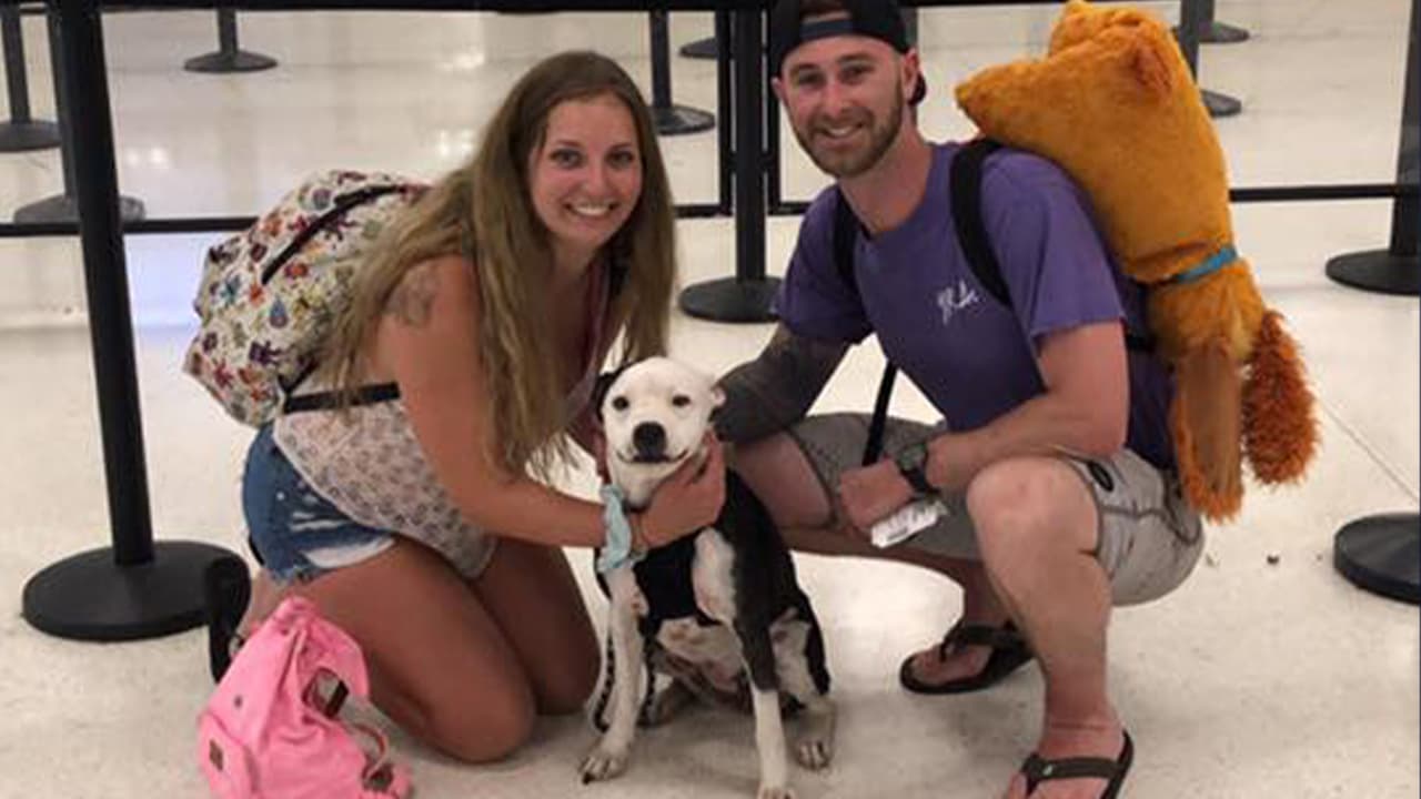 Turistas estadounidenses regresan a su casa con un Sato de Rincón