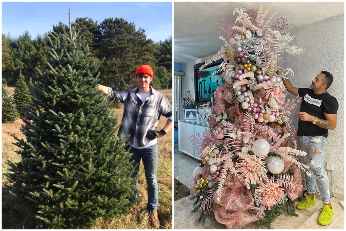 Dónde comprar tu árbol de navidad y recomendaciones para elegir el mejor para después decorarlo.