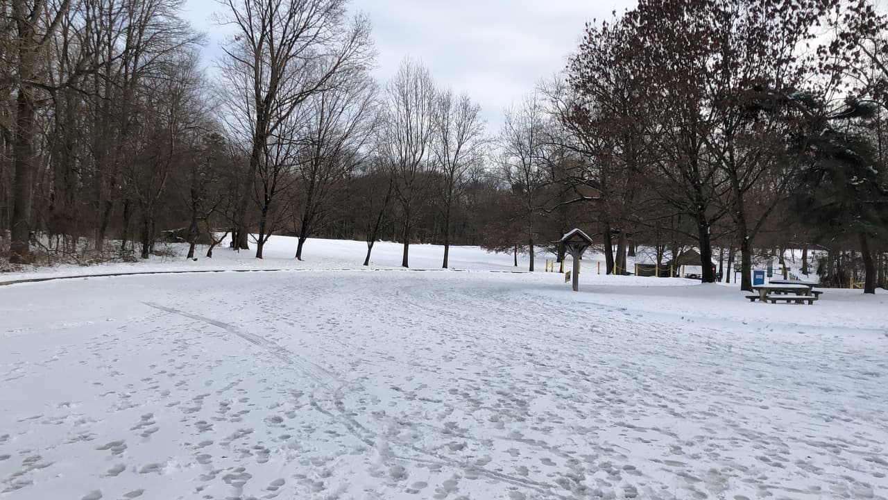 Todos los parques en la Cuna de la Democracia amanecieron así; arropados por una gran sábana blanca. 
<br>