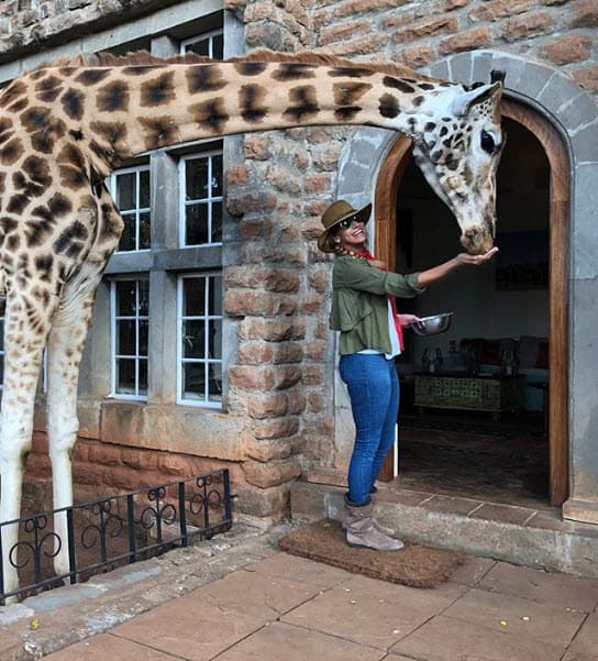 Este es un exclusivo lugar donde las jirafas están libres y los huéspedes les pueden dar de comer.