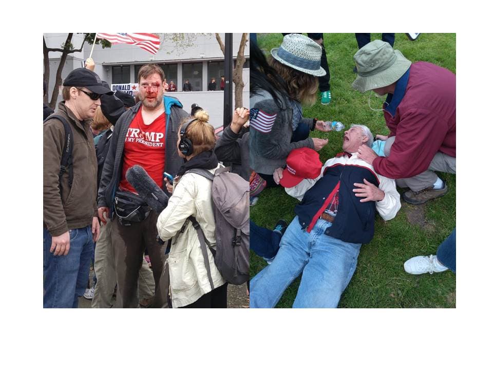 Violencia en manifestación a favor de Trump en Berkeley