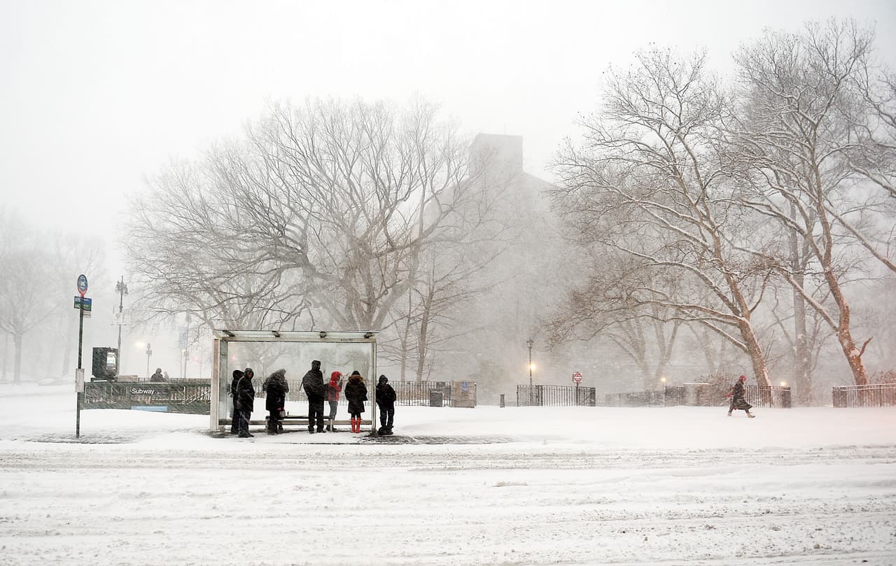 Estas son imágenes del sábado en la mañana en Central Park y zonas aledañas.