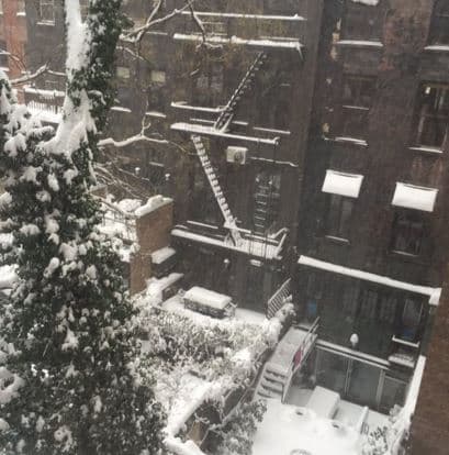 Estas son imágenes del sábado en la mañana en Central Park y zonas aledañas.