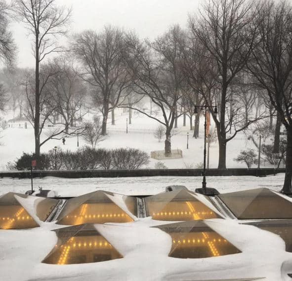 Estas son imágenes del sábado en la mañana en Central Park y zonas aledañas.