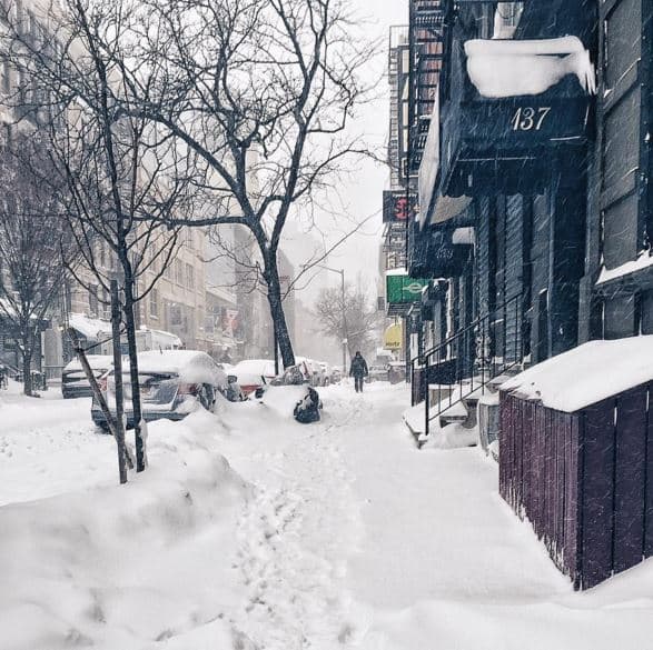 Estas son imágenes del sábado en la mañana en Central Park y zonas aledañas.