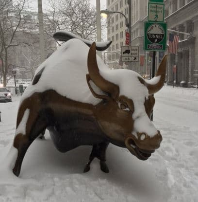 Estas son imágenes del sábado en la mañana en Central Park y zonas aledañas.