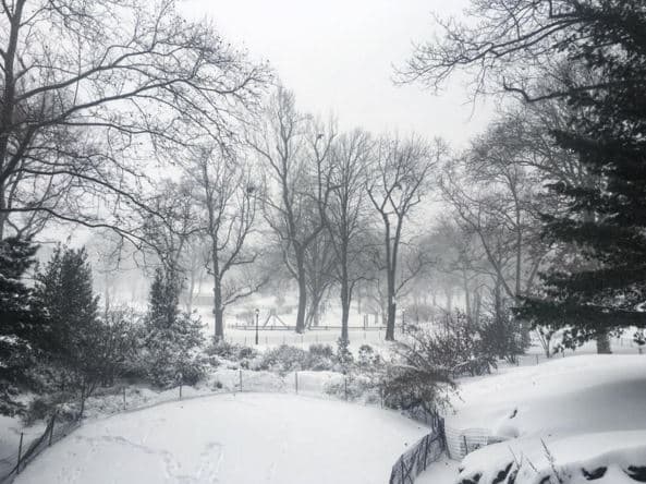 NY amanece totalmente nevada por la primera tormenta invernal fuerte