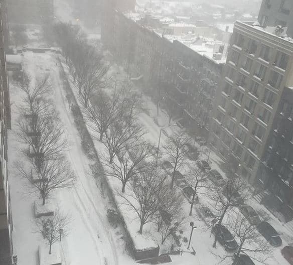 Estas son imágenes del sábado en la mañana en Central Park y zonas aledañas.