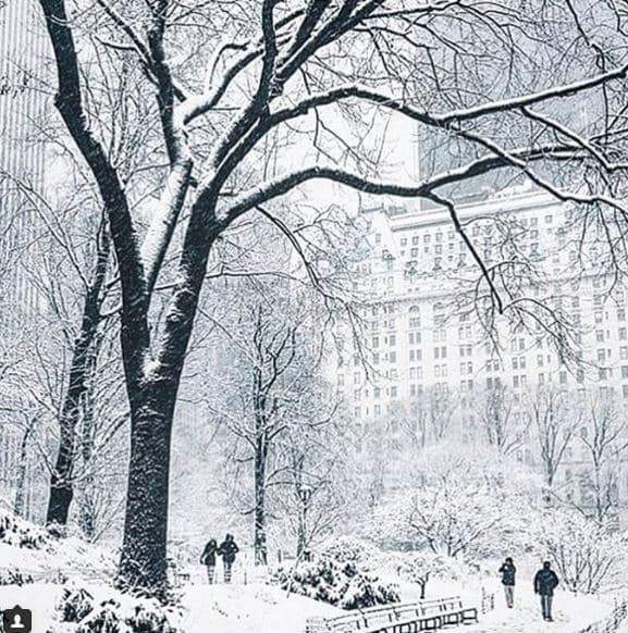 Estas son imágenes del sábado en la mañana en Central Park y zonas aledañas.