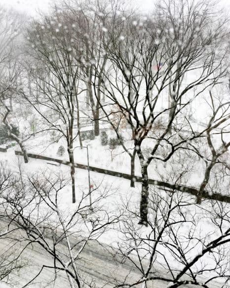 Estas son imágenes del sábado en la mañana en Central Park y zonas aledañas.