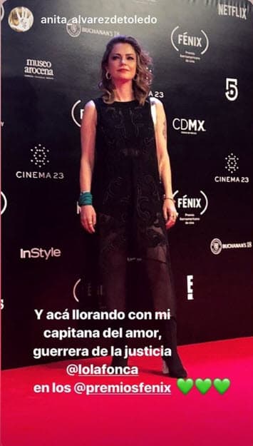 Ellos mantienen una buena relación y en varias ocasiones lo han demostrado. En la fiesta que se celebró al terminar el evento, se les vio conviviendo en compañía de un grupo de amigos, así lo informó la revista 
<a href="https://www.quien.com/espectaculos/2018/11/08/gael-garcia-y-su-ex-dolores-fonzi-reaparecen-juntos-en-los-premios-fenix">Quién</a>.
<br>