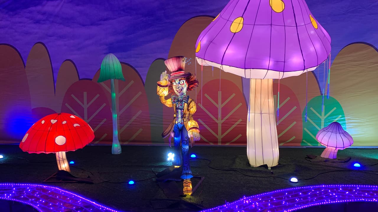 El país de las maravillas invernales es donde están las Ice Sisters en la sección de 
<b>The Ice.</b>