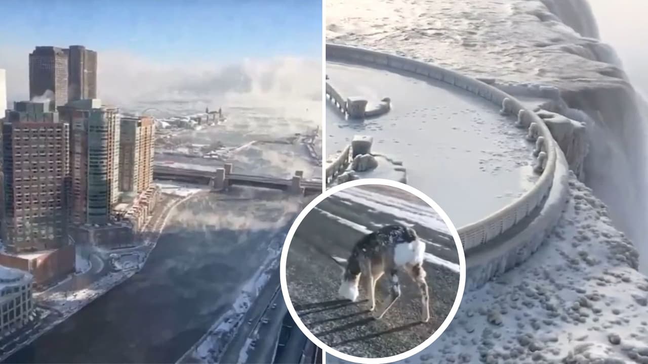 ¿El apocalipsis ha comenzado? La razón científica por la que frío extremo congela Estados Unidos y Canadá