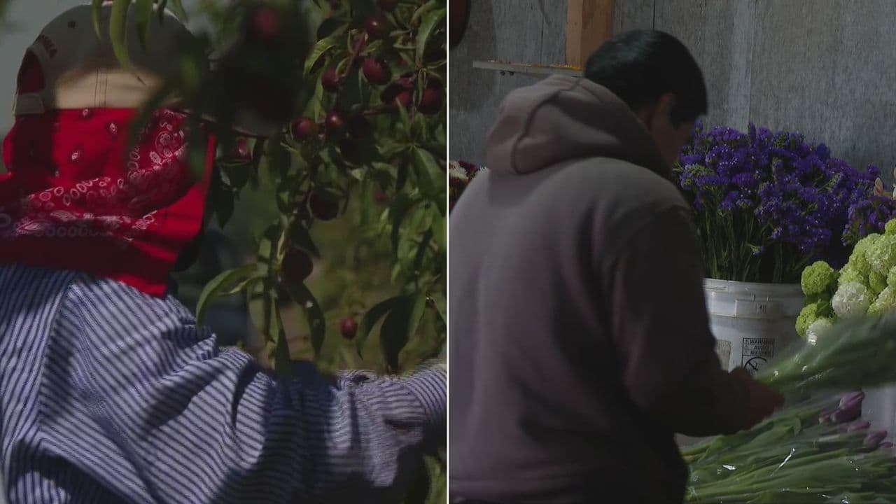 Con o sin papeles: los inmigrantes son el motor económico de California