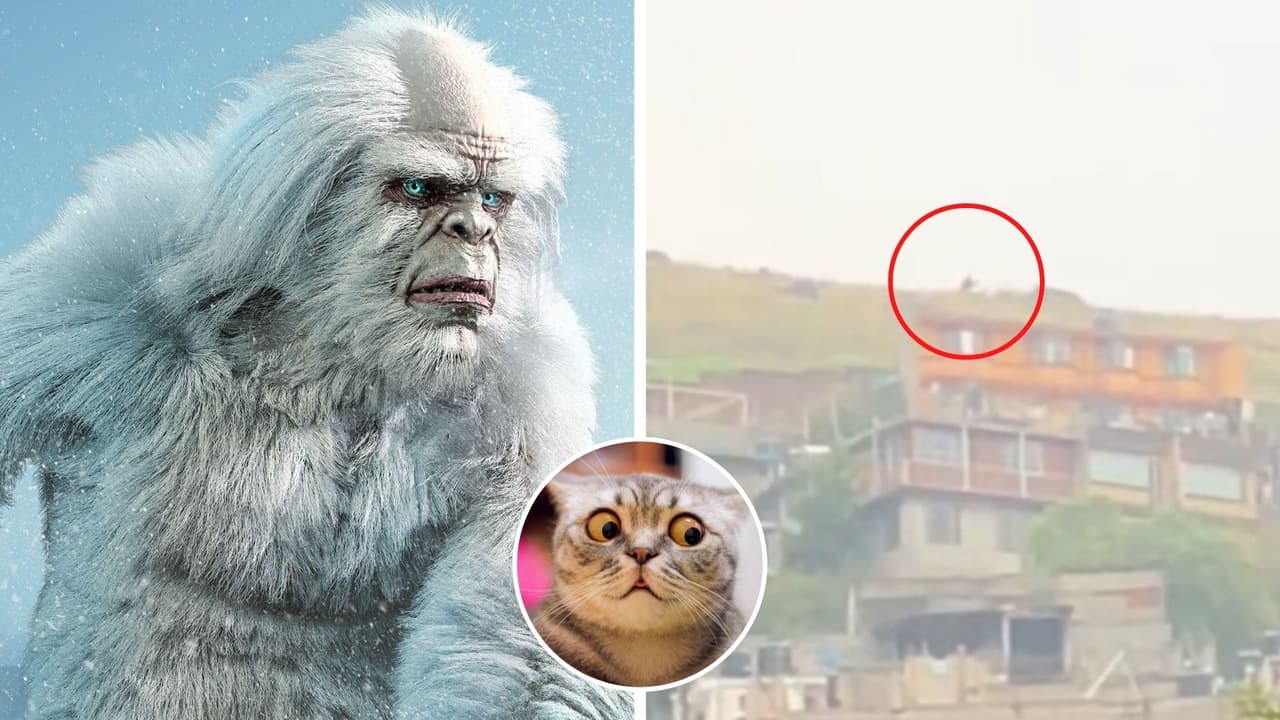 Captan supuesto gigante en cerro de México y video causa furor en TikTok: ¿Es pie grande?