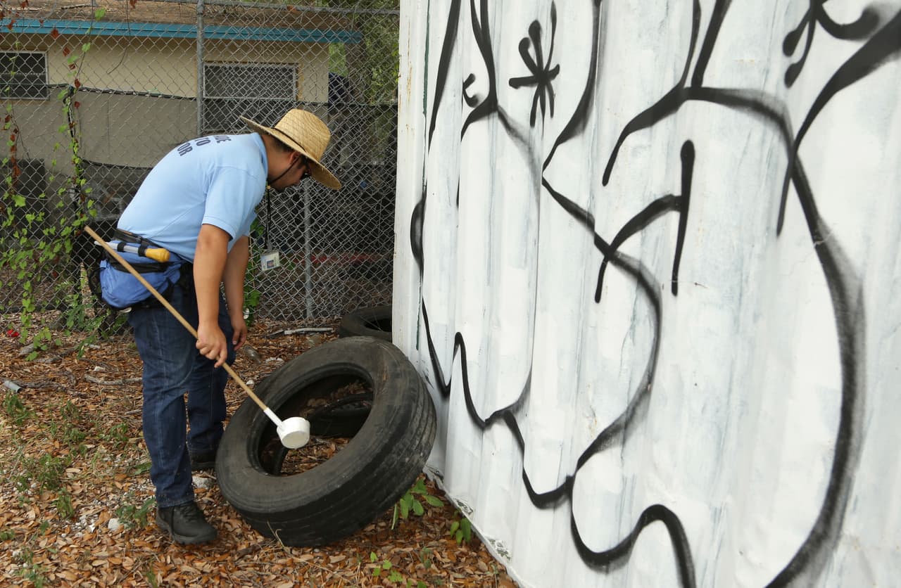 Con el trabajo de especialistas en el terreno se esperan eliminar larvas que puedan encontrarse en aguas empozadas.
