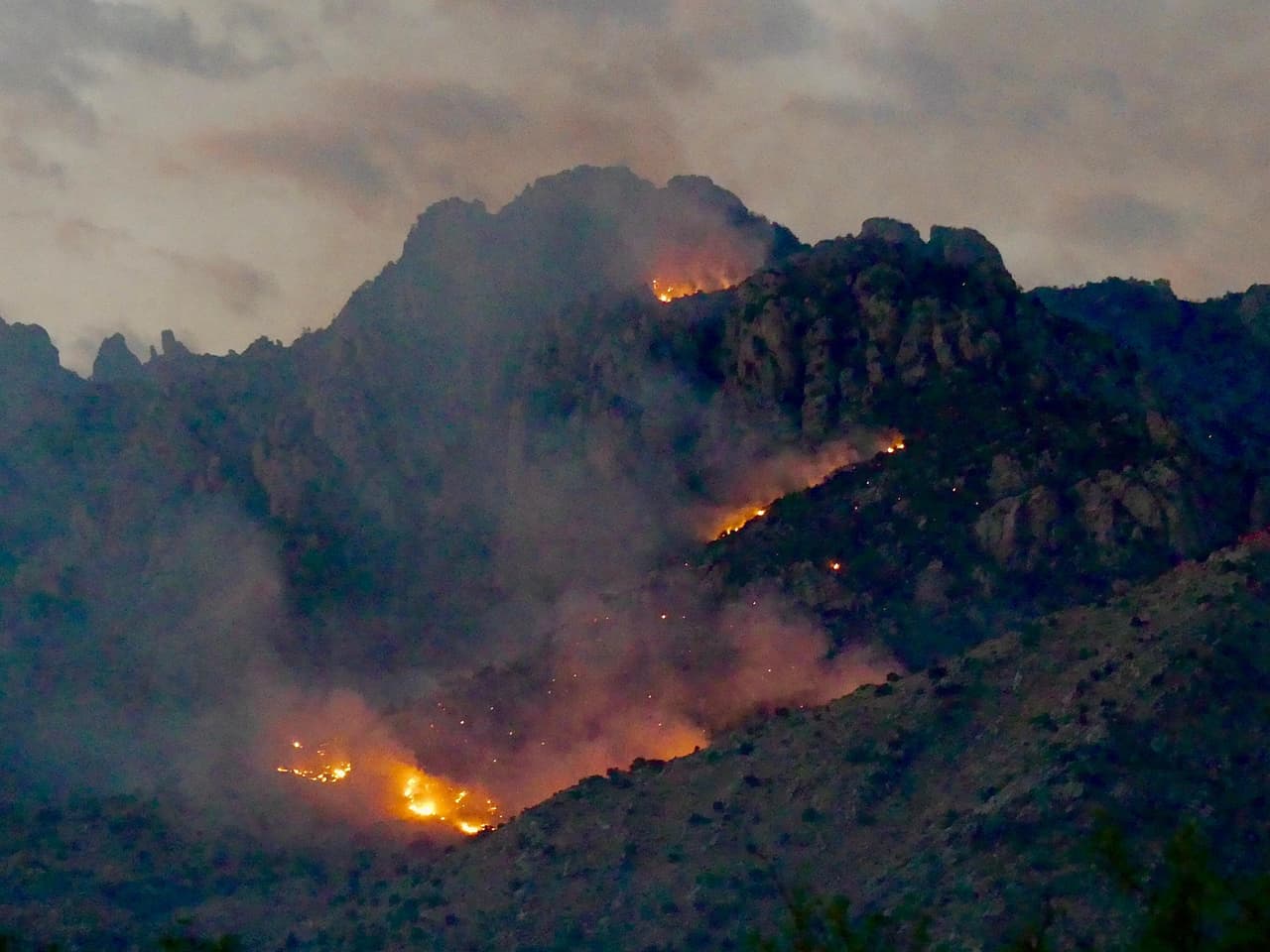 Cierres: La orden de cierre del Bosque Nacional Coronado incluye Sabino y Bear Canyons. Catalina State Park también está cerrado.
<br>