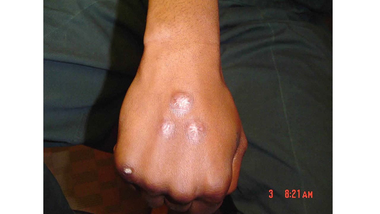 El 
<b>Partido Revolucionario Mexicano</b>, la 
<b>Texas Chicano Brotherhood</b>, los 
<b>Bloods</b> (foto) y los 
<b>Crips</b>, en ese orden, completan la lista de pandillas en la categoría de riesgo 2, las segundas más peligrosas del estado.