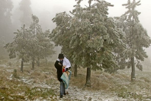 Salvador Treviño Salinas, director de la dependencia, dijo que 'definitivamente estamos en la temporada invernal y los fríos ya se hacen más cotidianos. Esta mañana tuvimos heladas en las zonas de Gómez Farías, Palmillas, Bustamante, Burgos, San Carlos y Méndez'.