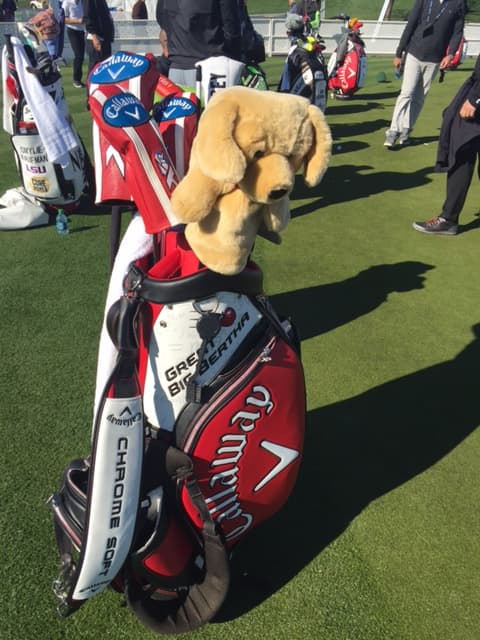 Miles de fanáticos disfrutan de los mejores jugadores de golf, y de mucho entretenimiento en el Phoenix Open.