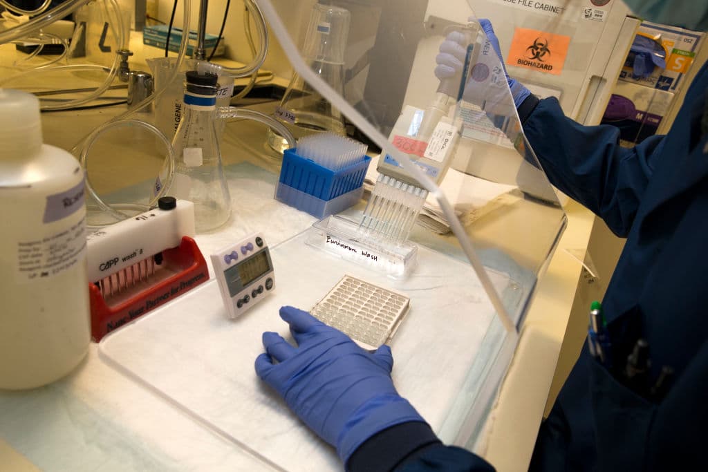 Inteligencia estadounidense dice que hackers chinos intentan robar investigaciones sobre el coronavirus