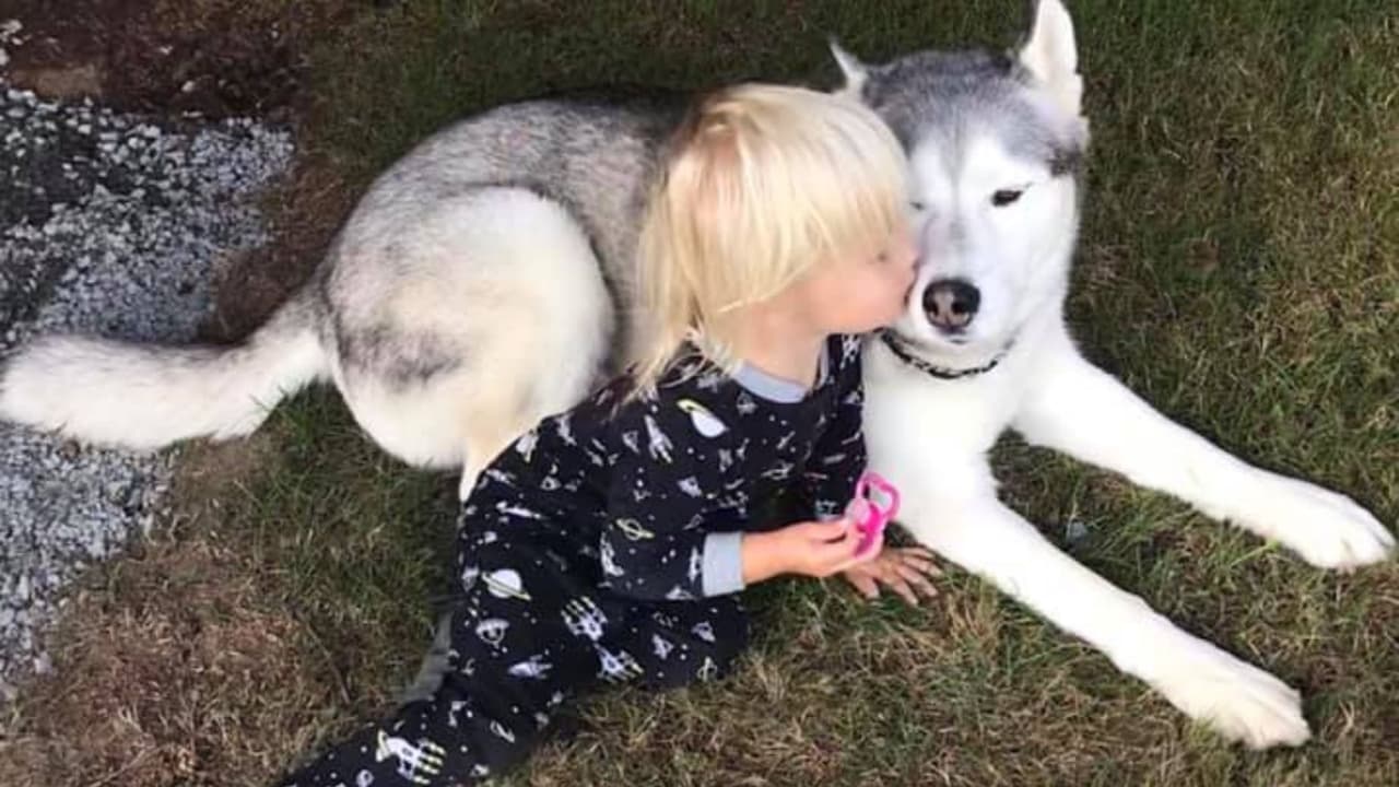 Everlee y su perro Dude