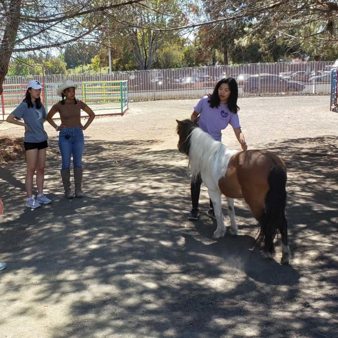 Se encuentra cerca de la autopista 237 y cerca del extremo sur de la Bahía de San Francisco.
<br>