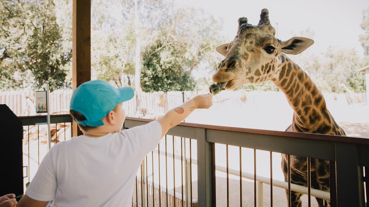 ¿No sabes qué hacer el 4 de julio? Visita el Zoológico de Sacramento