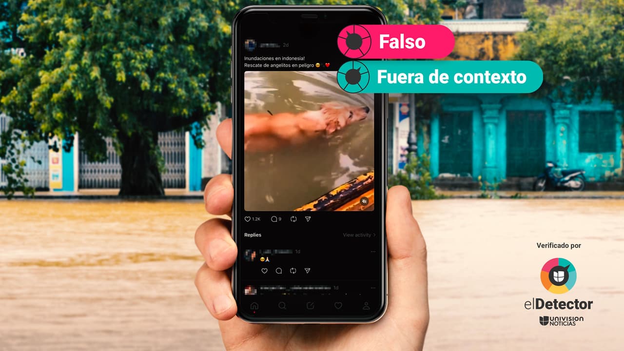 El rescate de esos dos perros no ocurrió en medio de inundaciones en Indonesia: fue en Vietnam en 2023