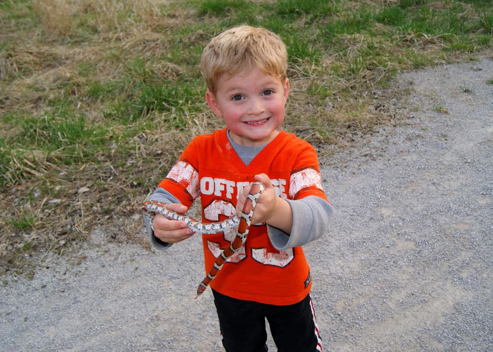 <b>ESCORPIÓN</b>
<br>A ellos les quedan los animales exóticos, misteriosos y poderosos, como ellos mismos. Las serpientes, al igual que un Escorpión, pueden ser independientes, silenciosos, inmersos en su propio mundo y sobre todo, con mucho veneno y hasta ser mortales, si alguien pretende atacarles.