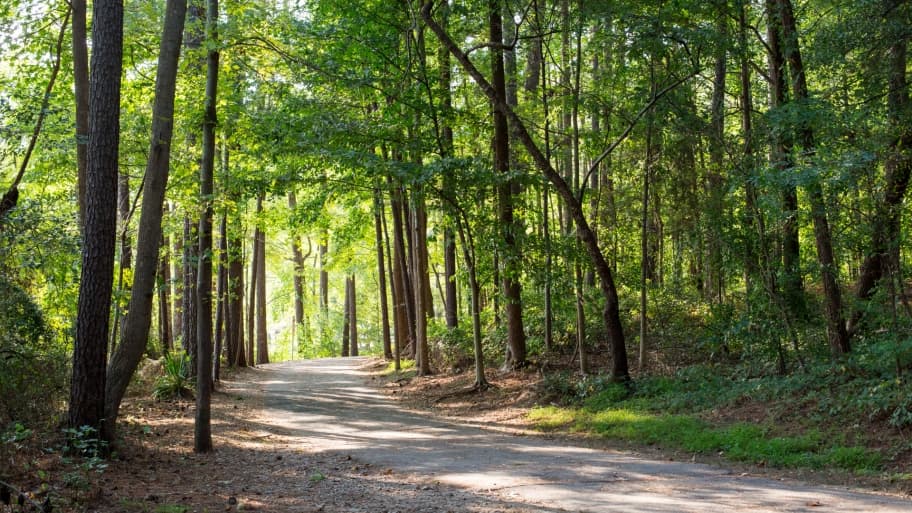 <b>Lake Johnson Park (4601 Avent Ferry Rd, Raleigh)</b>. Lake Johnson Trail es un sendero circular de 4.2 millas con tráfico moderado ubicado cerca de Raleigh, que ofrece la oportunidad de ver la vida silvestre y ofrece una serie de opciones de actividades y es accesible durante todo el año. Los perros también pueden usar este sendero, pero deben mantenerse con correa.