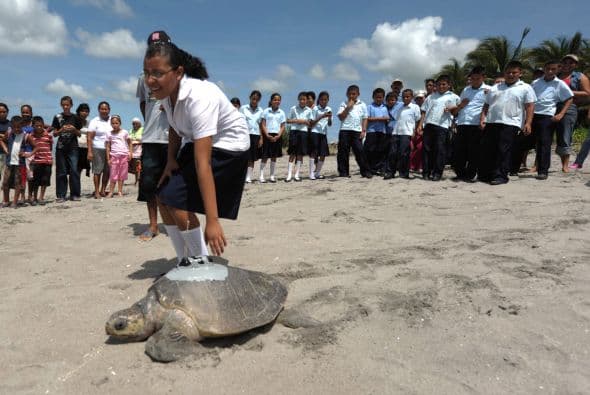 La información recogida del satélite será procesada por especialistas del Instituto de Ciencias Marinas de la estatal Universidad de El Salvador.