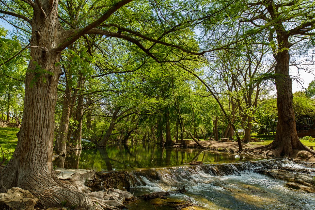<b>Texas. </b>
<br>
<br>
<b><a href="https://www.cityofwimberley.com/202/Blue-Hole-Regional-Park" target="_blank">Blue Hole Regional Park</a></b> es un pozo natural en el que se puede nadar. Está alimentado por un manantial bordeado por cipreses situado en el Texas Hill Country. Las aguas son calmas y cristalinas y requiere reservaciones solo para nadar. Todos los demás servicios recreativos son gratuitos y están abiertos al público.