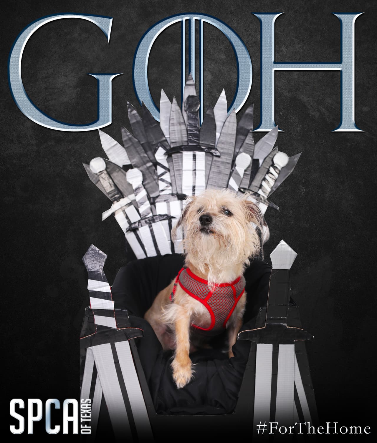 La tarifa incluye cirugía de esterilización / castración, vacunaciones apropiadas para la edad, una prueba de lombrices cardíacas para perros de seis meses o más y una prueba de FIV / FeLV para gatos de 4 meses o más, prevención de pulgas / garrapatas inicial y un gusano cardíaco, y un microchip.