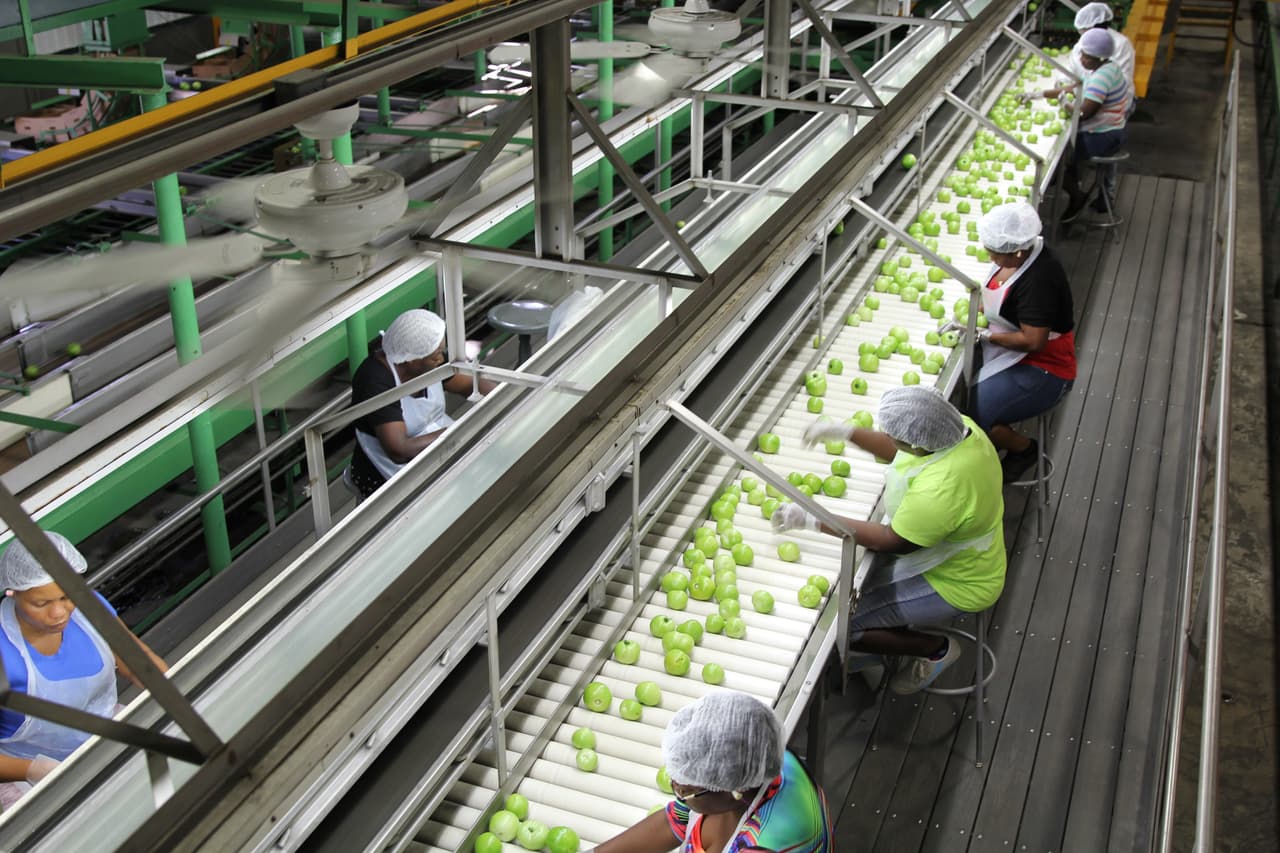 Una planta procesadora de tomates en Immokalee, Florida. Casi todos son recogidos verdes para que lleguen rojos y maduros a los supermercados y restaurantes del país.
