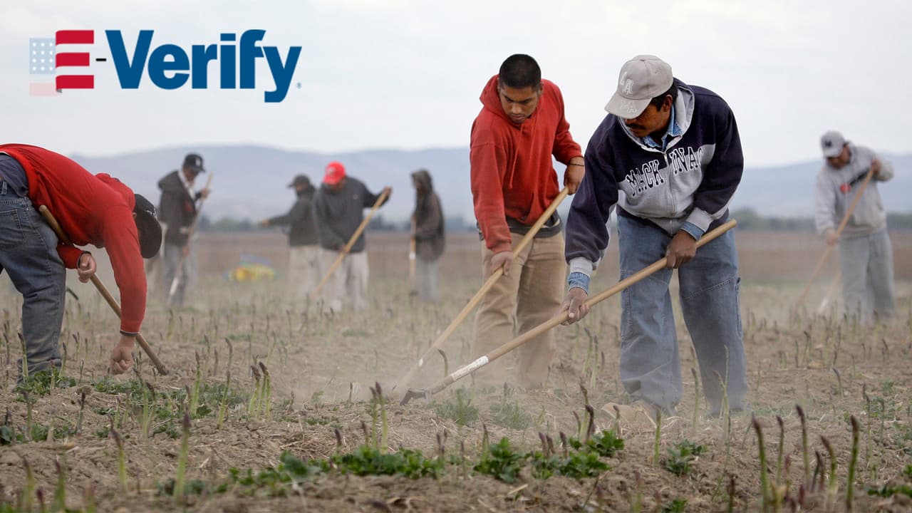 Pedir el E-Verify a trabajadores y otras propuestas sobre inmigración del partido republicano en Texas