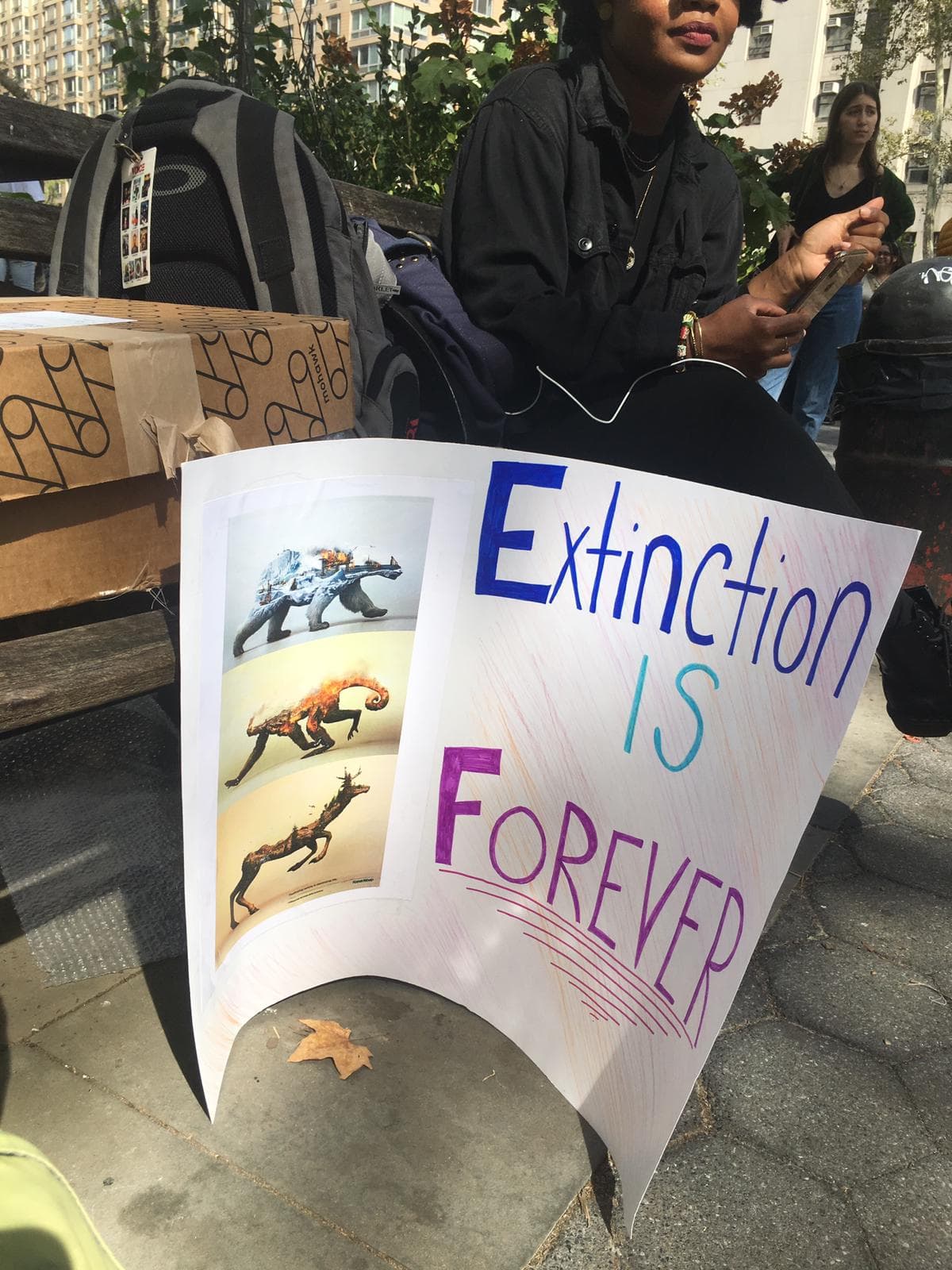 "Extinción es para siempre".