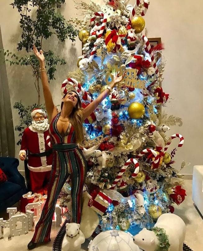 <b>Ninel Conde</b> posó junto a su árbol navideño: "Todos estamos bendecidos de formas diferentes, quiero que lo tengan presente hoy, mañana y todos los días: lo que Dios tiene preparado para ti es más grande de lo que esperas, así que agradece el ahora y ten fe de lo que viene. Debemos ser agradecidos cada día de nuestra vida, pero estas fechas tan nostálgicas nos permiten serlo aún más, ¿no creen?".