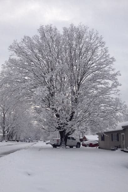 Enrique Gutiérrez manda esta postal junto con el siguiente mensaje: "Nos devuelve un poco de lo malo que le hemos hecho a nuestro planeta"
