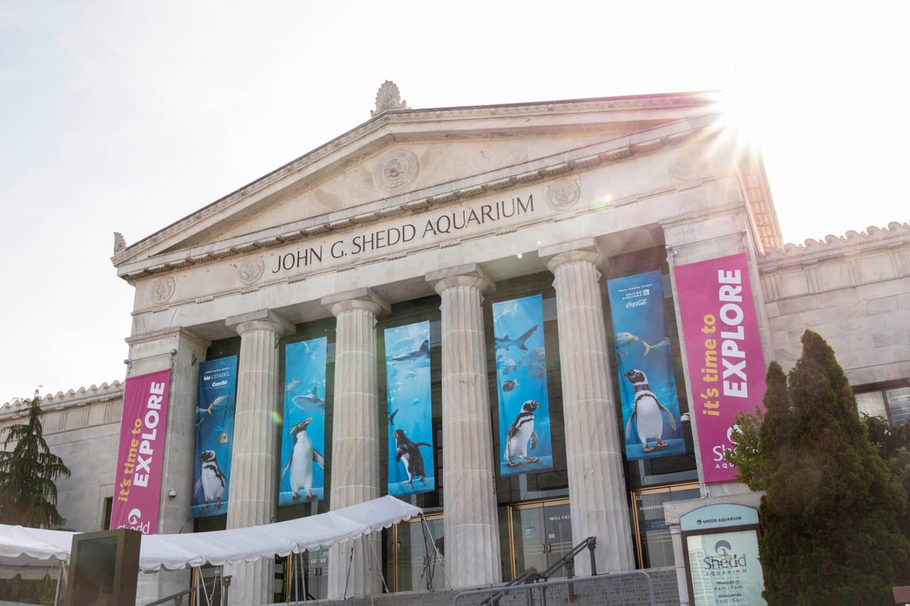 Shedd Aquarium prepara una renovación y transformación para celebrar sus 100 años, en 2030.