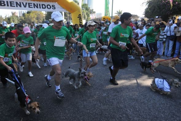 Alrededor de 1,150 perros y sus dueños protagonizaron una carrera por las calles Guatemala.