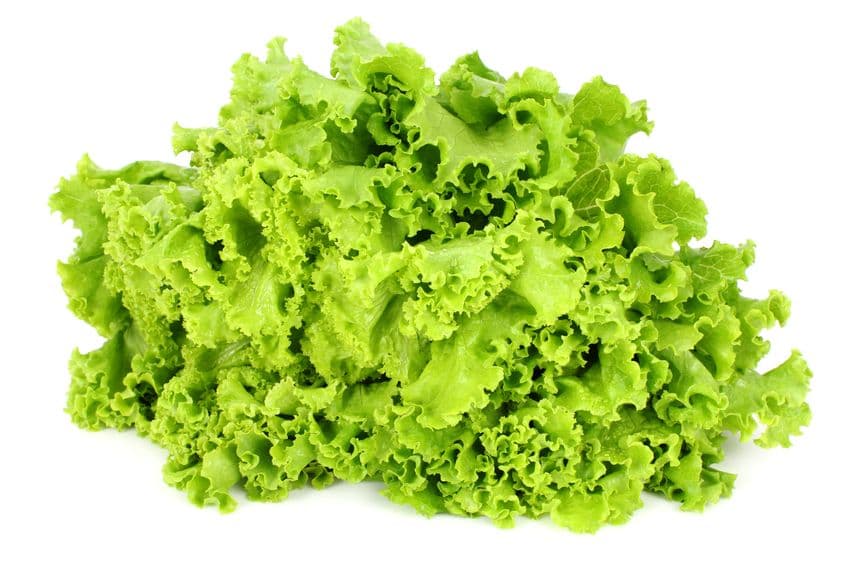 LECHUGA: Aporta gran cantidad de Vitamina A, C, E, B1, B2, B3, y beta carotenos. La lechuga contiene grandes oligoelementos como el selenio, que ayuda a prevenir al organismo de contraer ciertos tipos de canceres, como el de pulmón, colon y próstata. Mantiene sanas las mucosas del organismo y ayuda a mejorar la piel y la visión, además su alto contenido de vitamina C la hace una fuente indispensable de antioxidante natural.