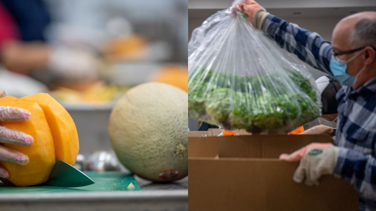 Banco de Alimentos de Houston anuncia distribución masiva de alimentos tras suspensión de SNAP