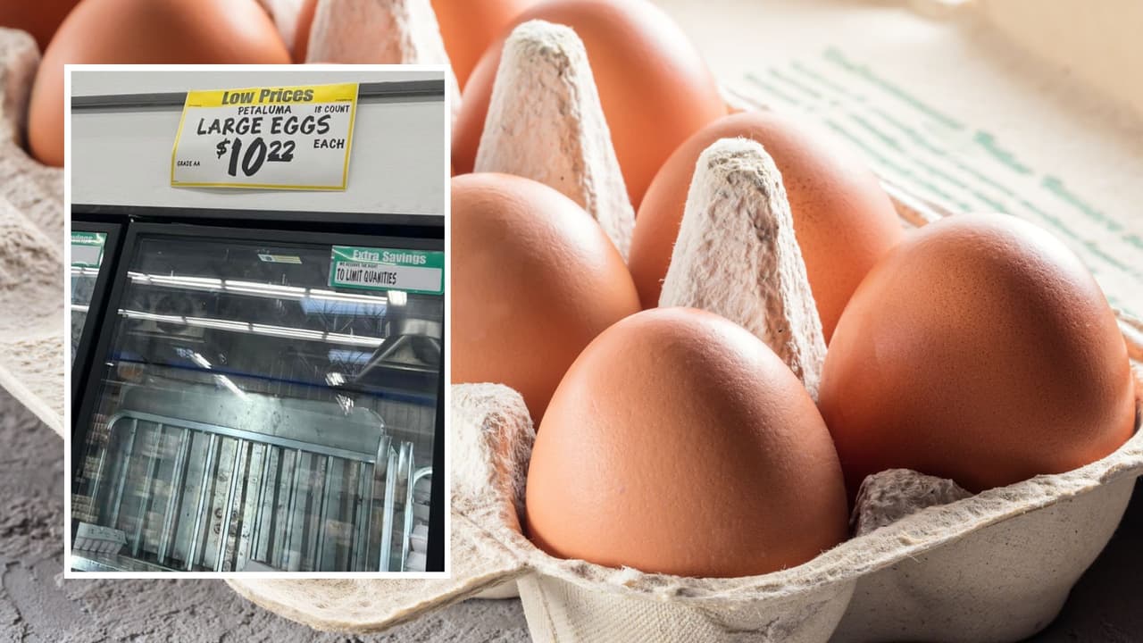 Dónde encontrar huevos más baratos y qué alternativas hay ante la escasez y alto costo