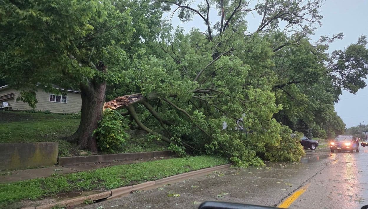 Tormentas azotan Chicago con vientos de más de 80 mph: reportan daños, árboles caídos y apagones