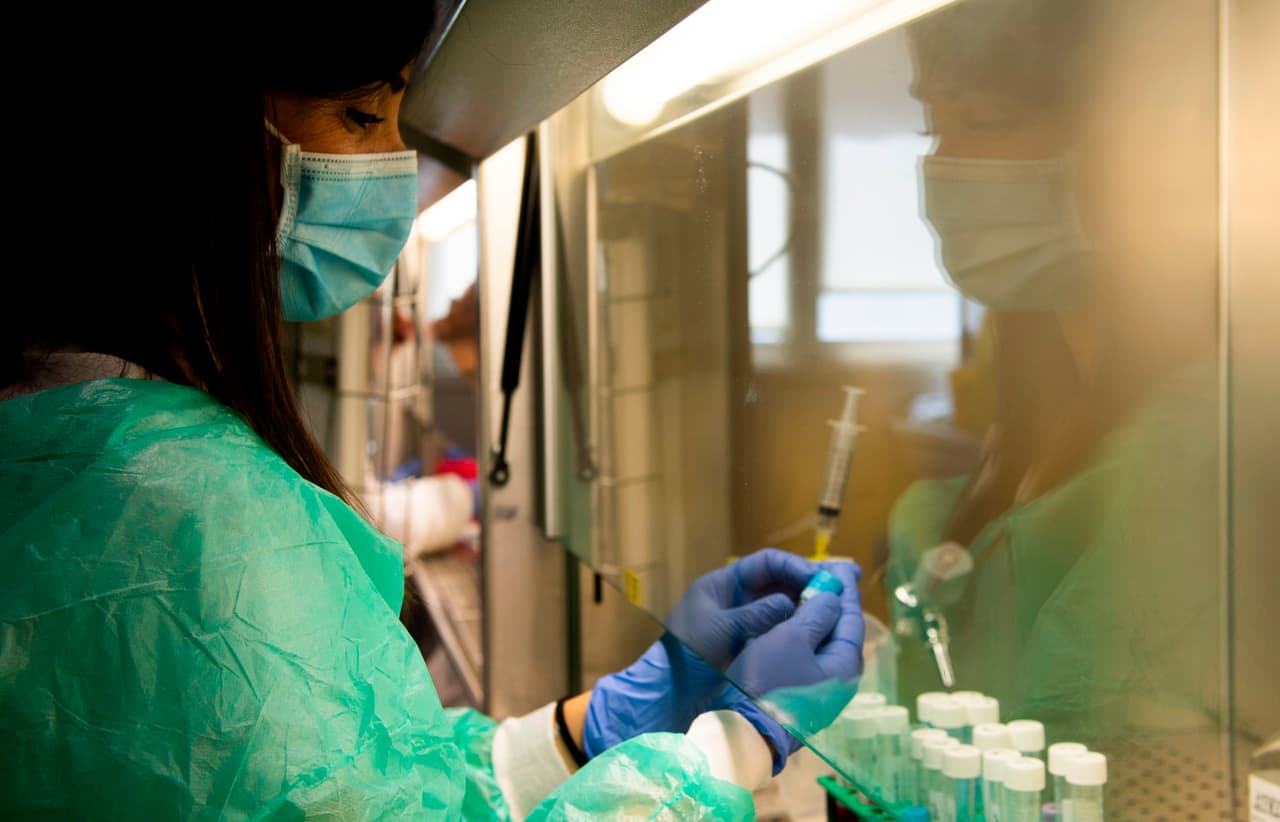 El antivirus más potente contra la covid-19 es nuestro sistema inmune