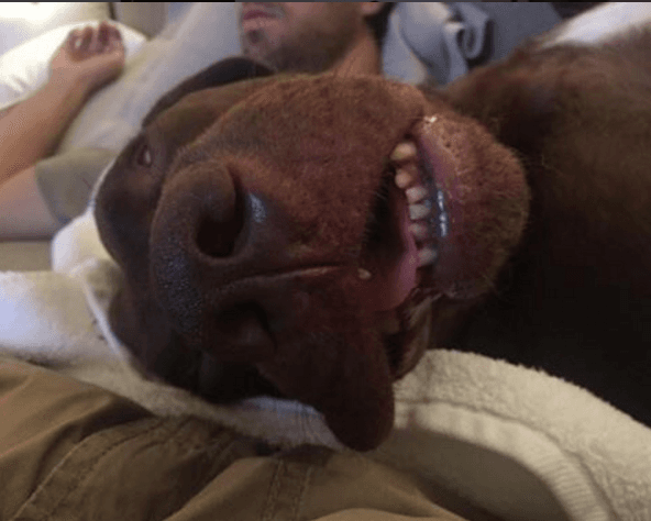 En esta imagen Enrique publicó: "Jack y yo después de habernos tomado unas copas".