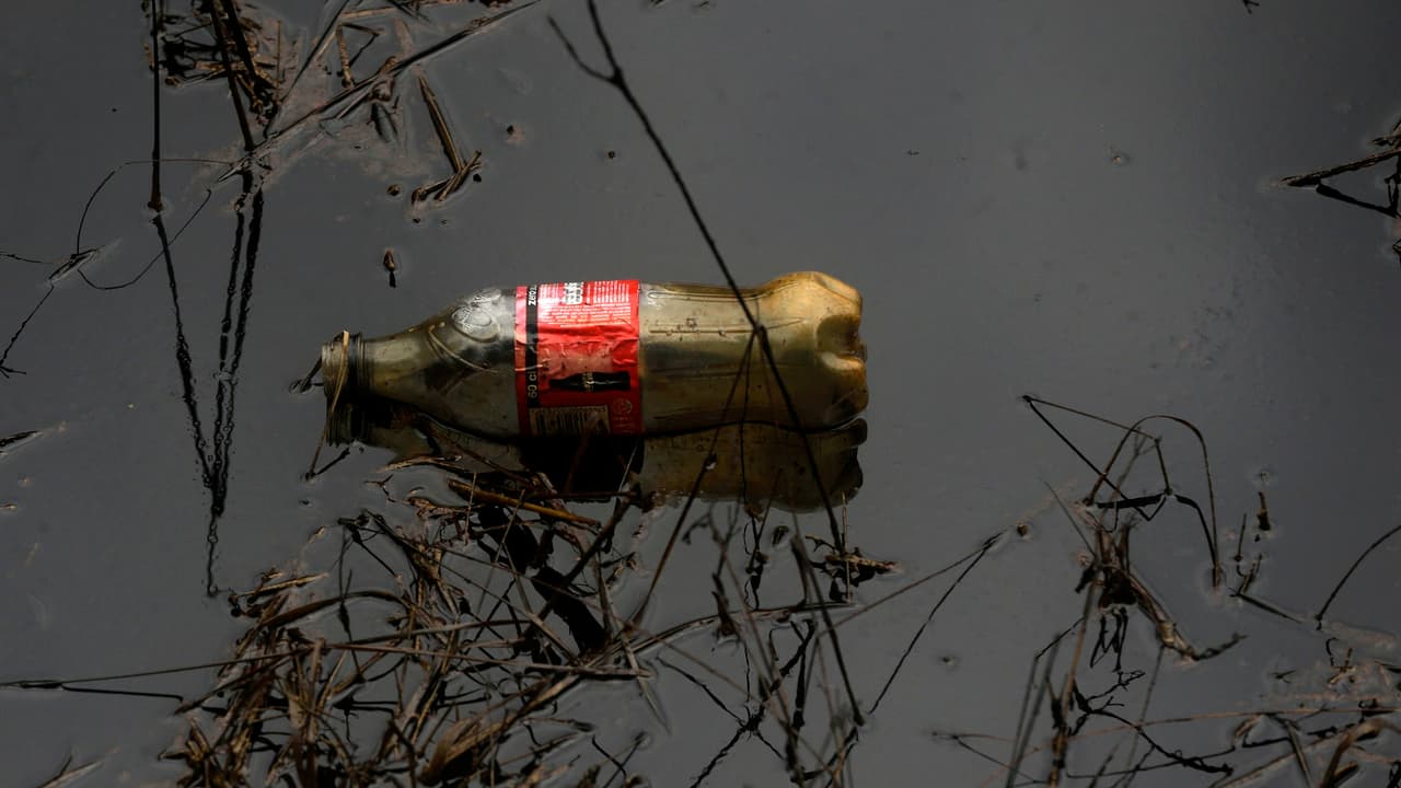 Condado de Los Ángeles demanda a Pepsi y Coca-Cola por crear contaminación plástica