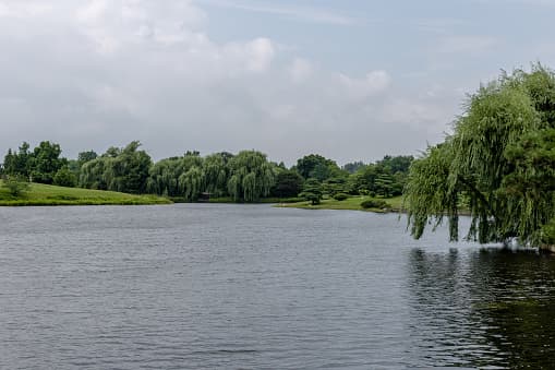 En todo el sur de Texas, no hay nada más aterrador que el agudo grito de una mujer: el llanto es una premonición, ya que quienes lo escuchan a menudo están condenados a una serie de graves desgracias.
<br>
<br>Lo peor es la muerte de uno mismo o de un ser querido.
<br>
<br>La Llorona ha sido representada en varios cuentos, pero una cosa es segura: ahogó a sus hijos en un ataque de ira y ahora está relegada a buscarlos hasta el Día del Juicio.